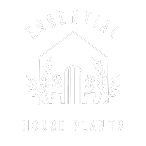 Essential House Plants