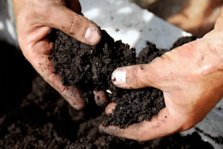 main with soil in his hands